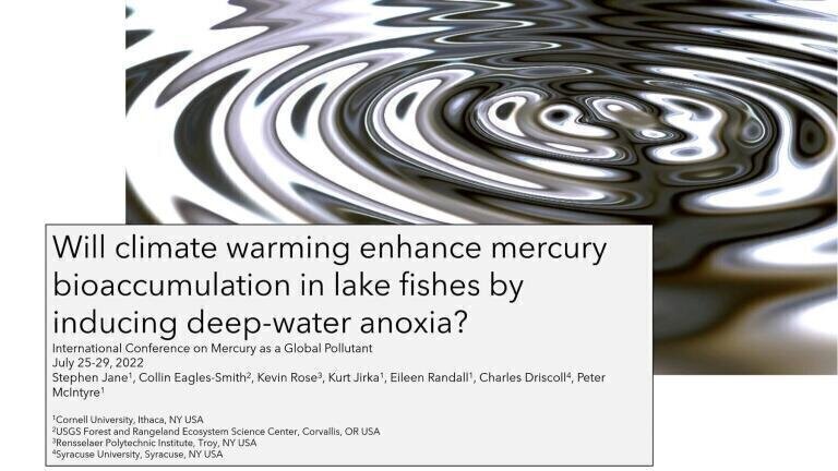 Will climate warming enhance mercury bioaccumulation in lake fishes by inducing deep-water anoxia?